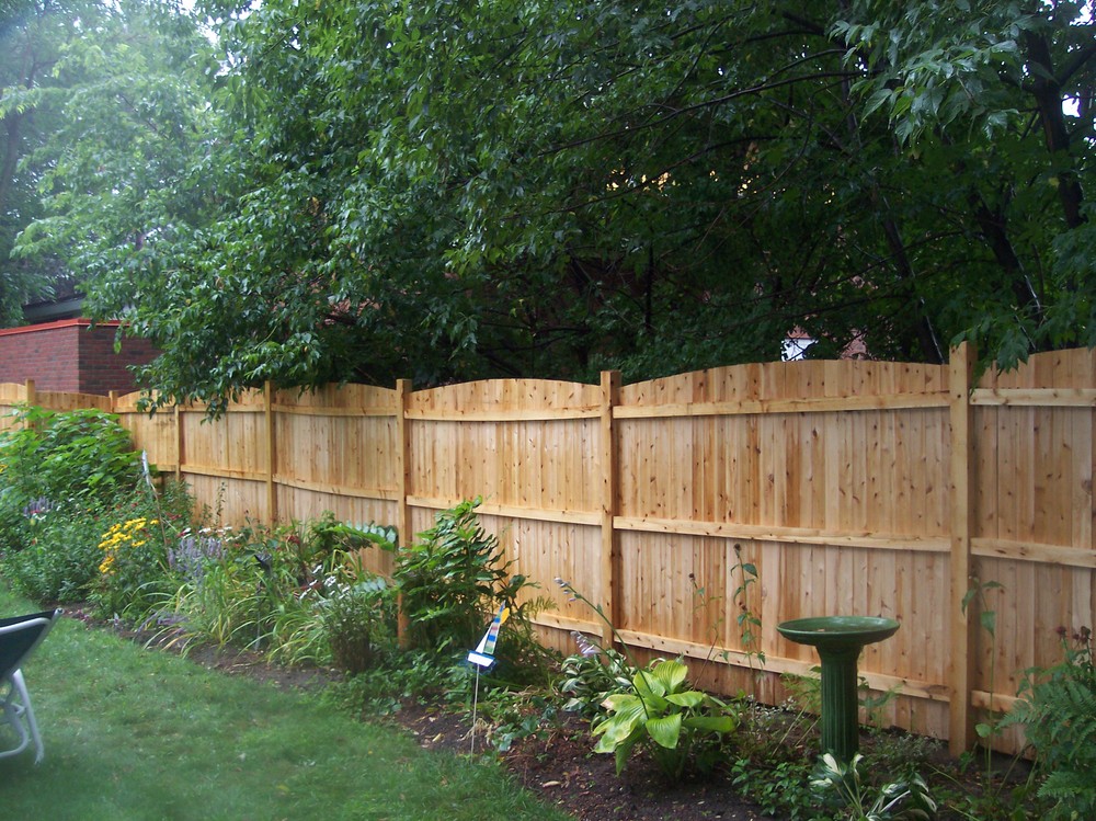 Back Yard Privacy Fence