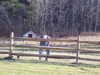 Greensboro, VT