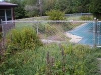 Pool Fence