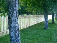 Picket Fences