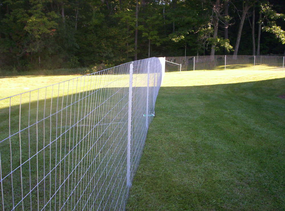 wire fencing for dogs